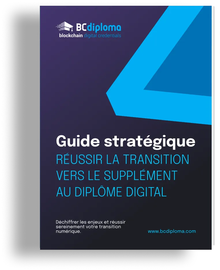 Guide stratégique