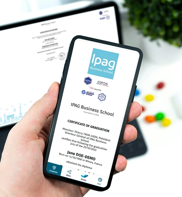 IPAG Mockup