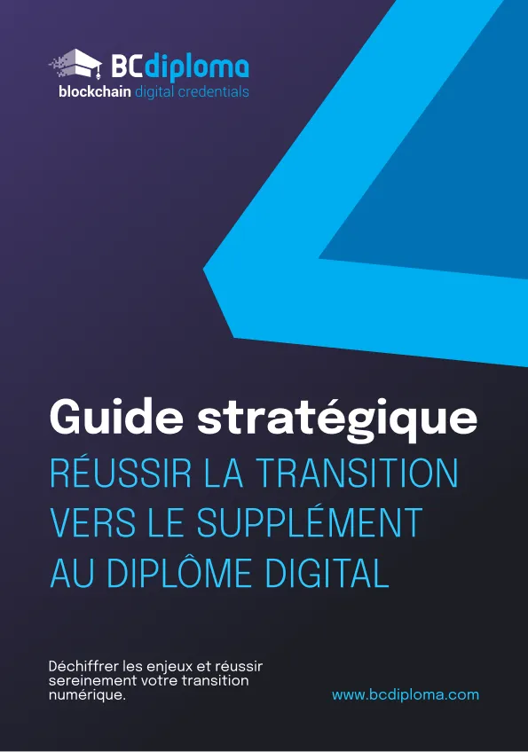 Guide stratégique
